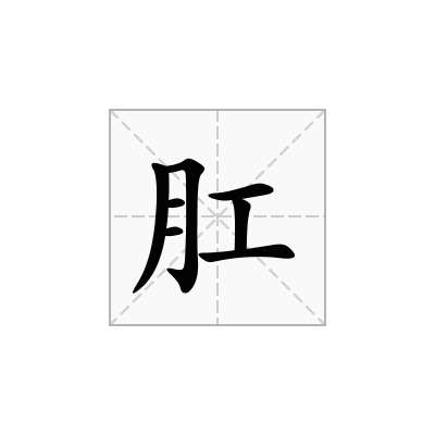 肛