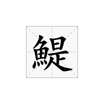 鯷