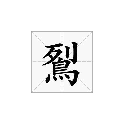 鴷
