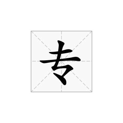 专