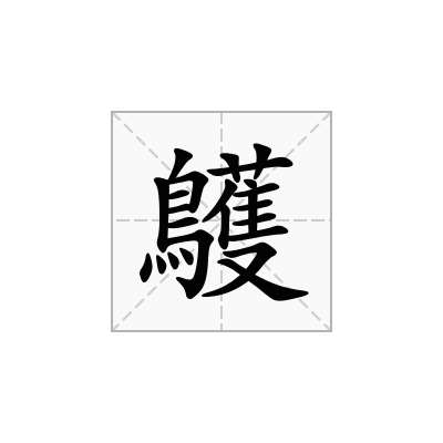 鸌