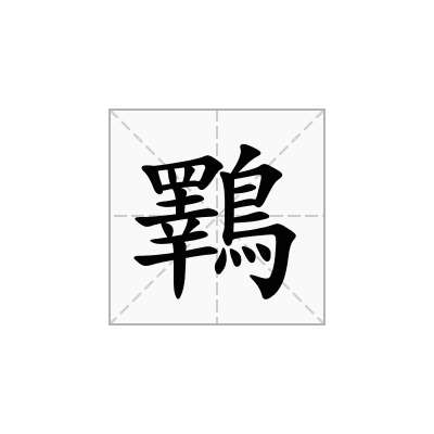 鸅