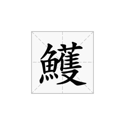 鱯
