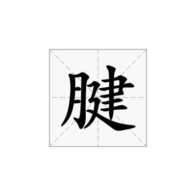 腱