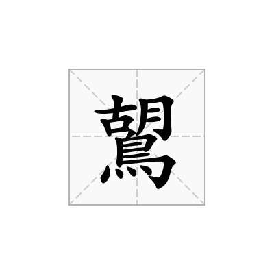 鶦