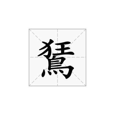 鵟